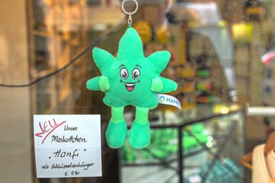 Hanf Shop Erding  Cannabis legal kaufen in der Altstadt