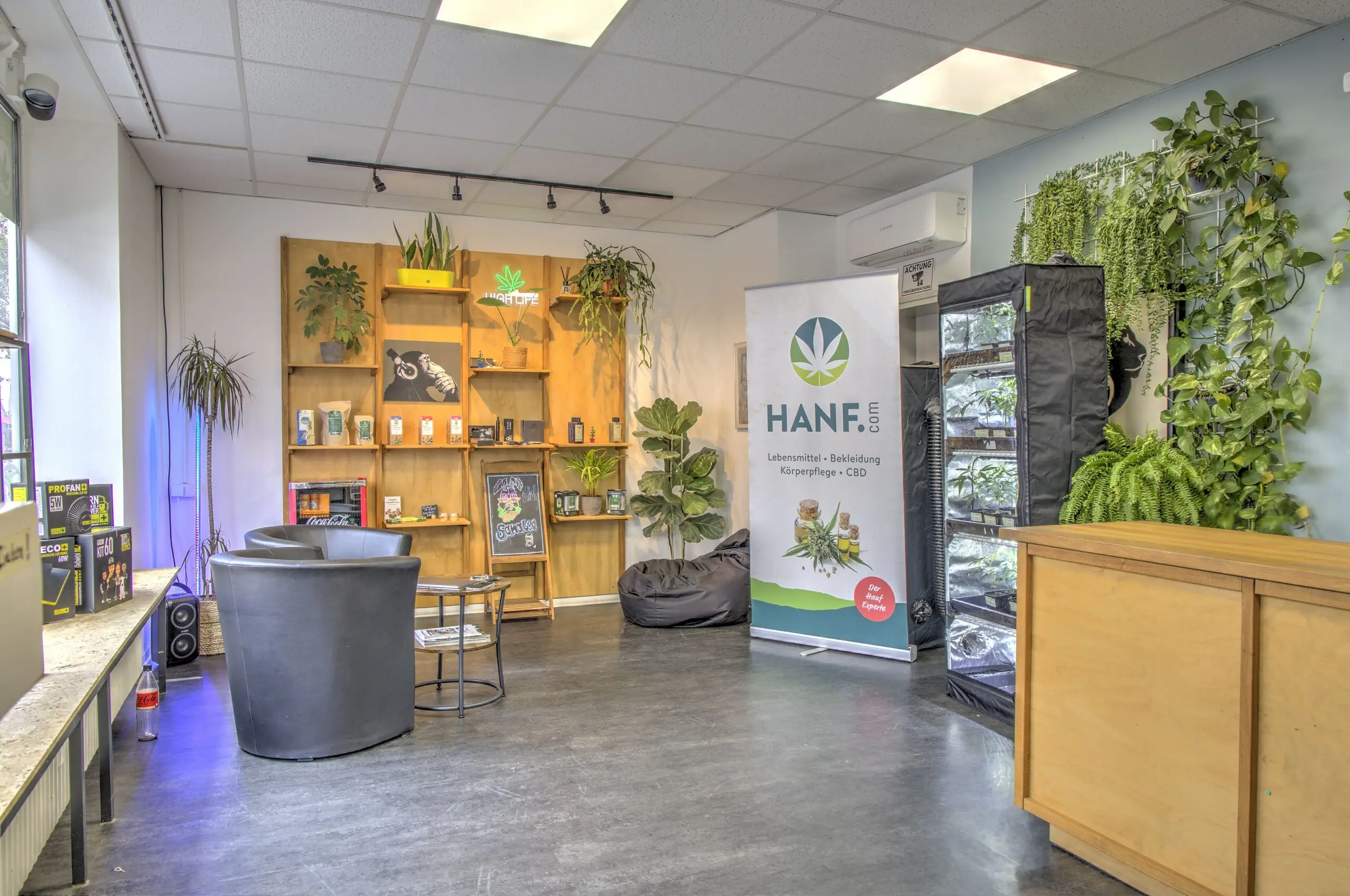 Innenansicht Hanfladen Frankenthal 2